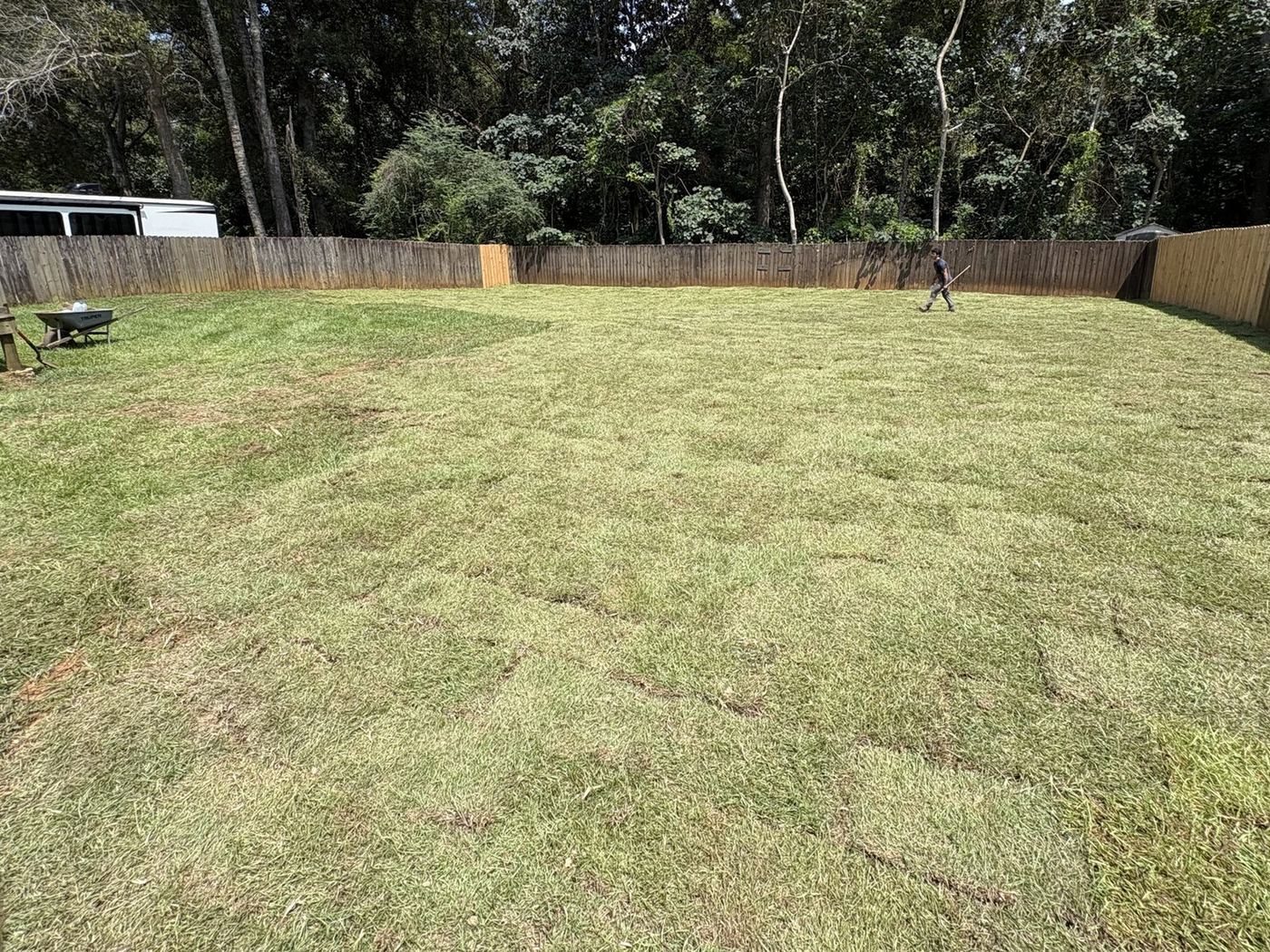 After: the backyard covered in new sod