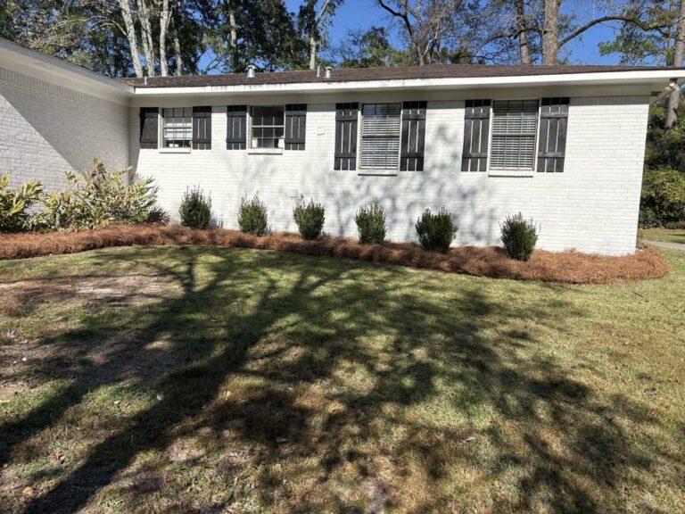 Fresh pine straw beds along the front of a home