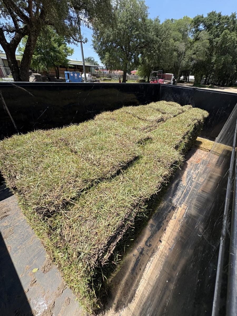 Pallets of fresh sod loaded on a trailer