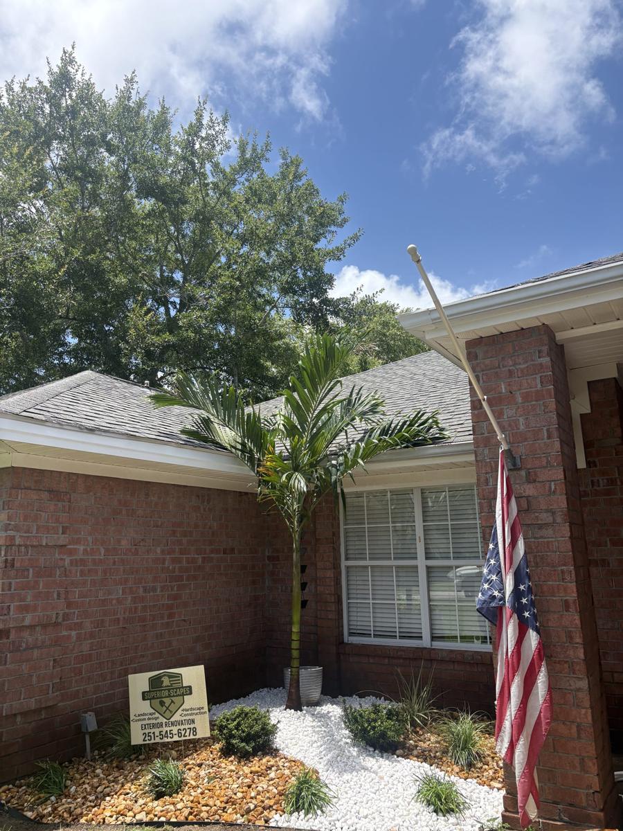 White rock bed at a front entry with a palm