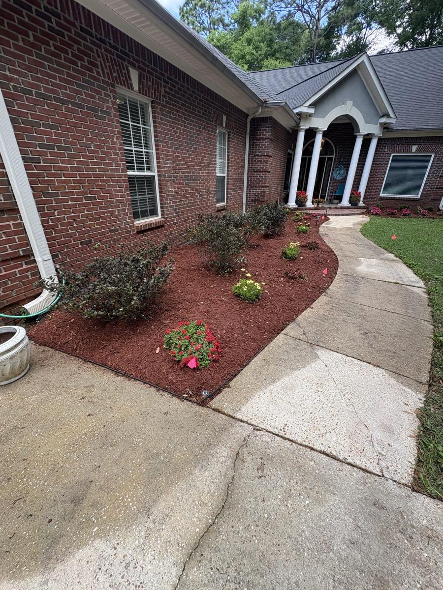 Red mulch bed along a front walkway