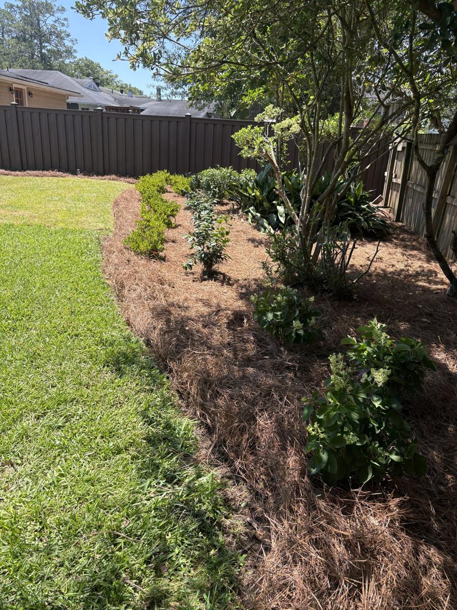 Mulched side-yard bed along a lawn