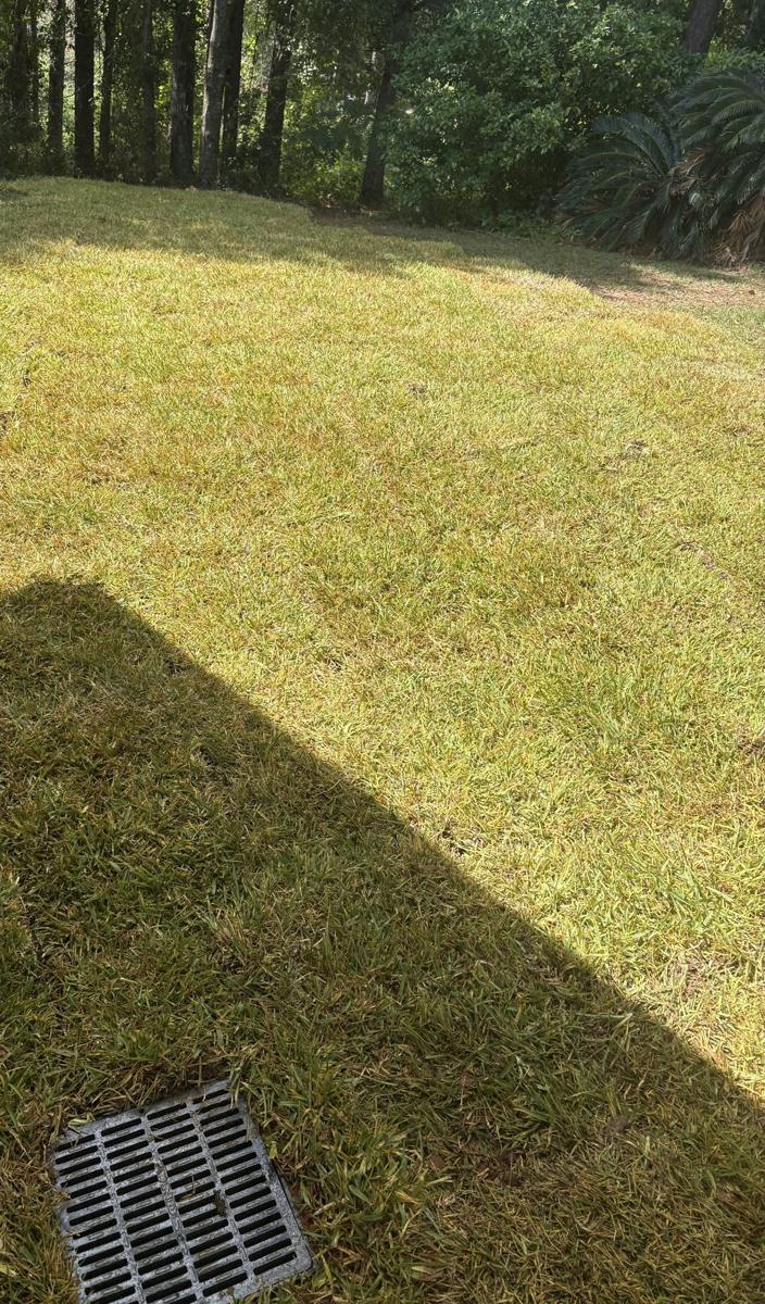 Catch basin grate set into a finished lawn