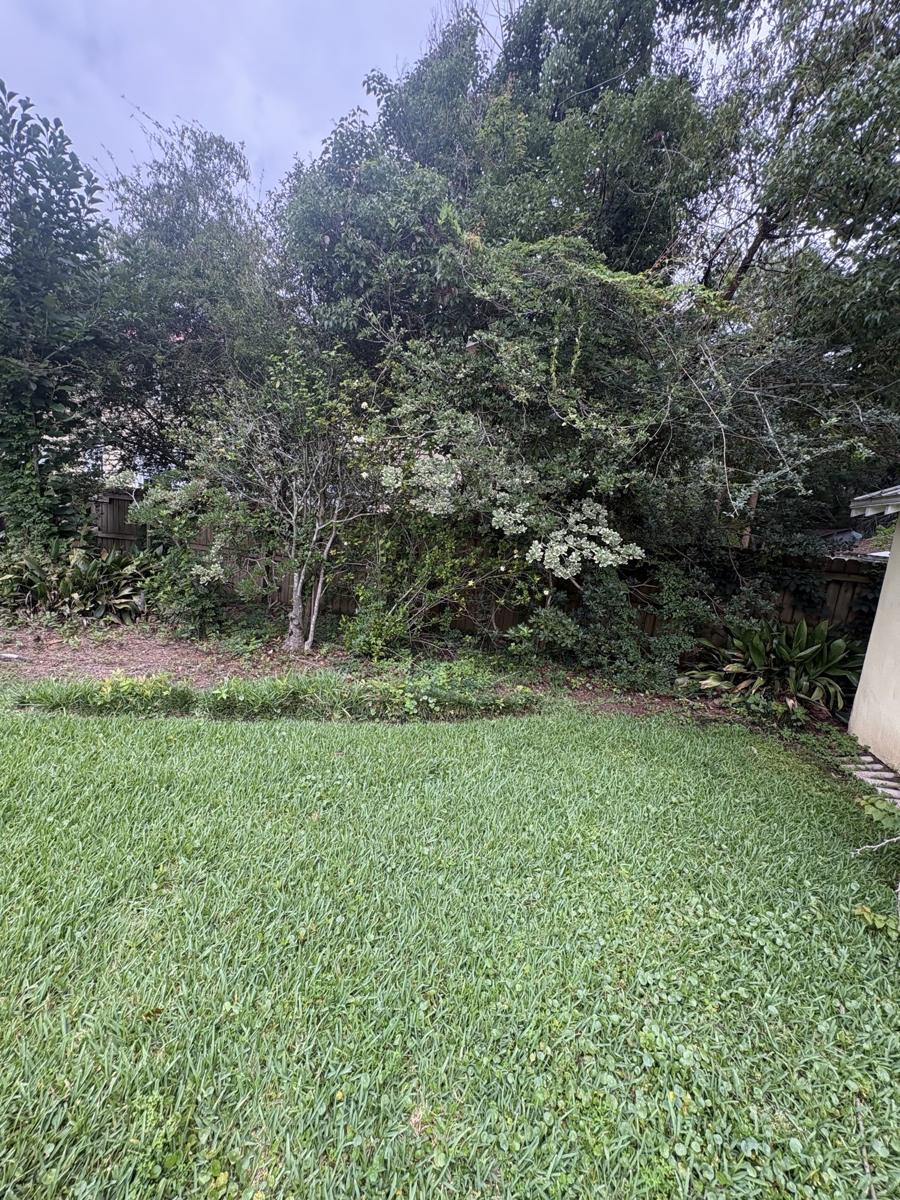 Overgrown backyard edge being cleaned up