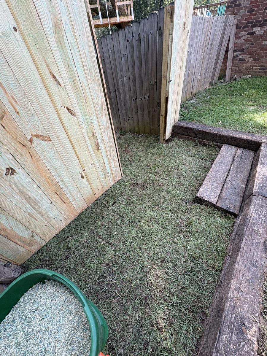 Timber edging along a new fence in a side yard
