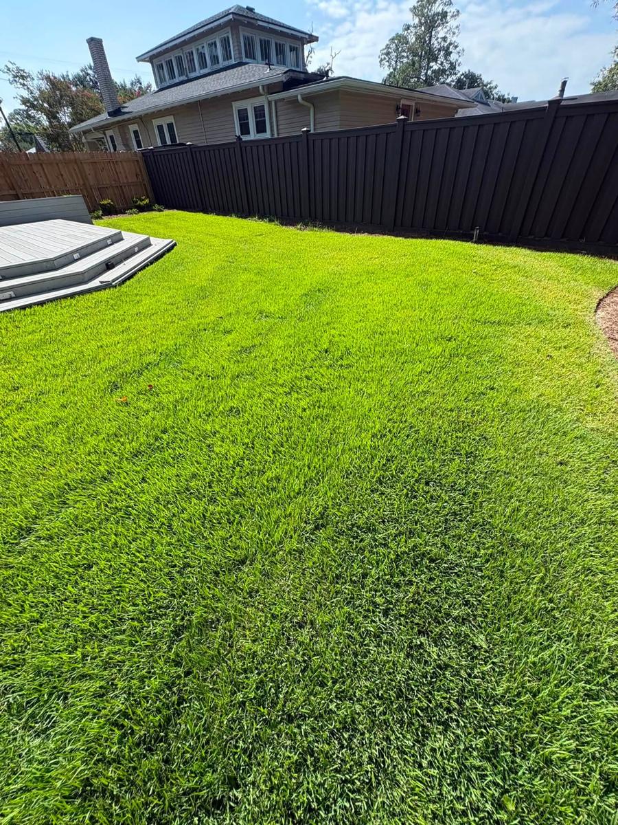 New lawn laid across a backyard in Mobile County