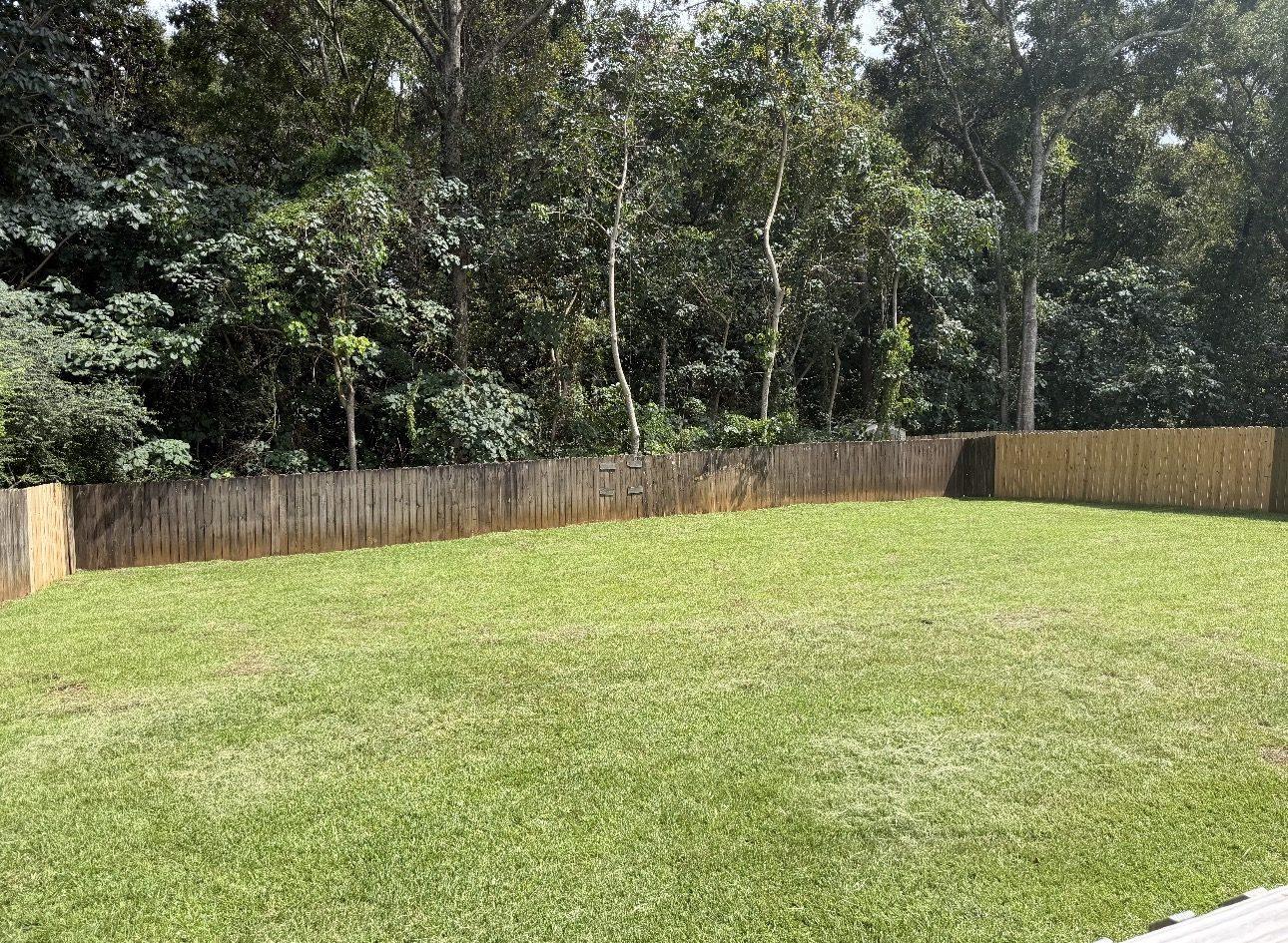 The finished lawn filling the fenced backyard