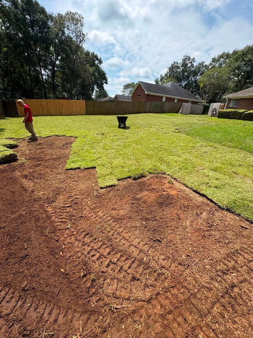 Rows of new sod going down over raked soil