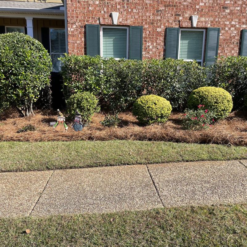 Pine straw beds along a brick home