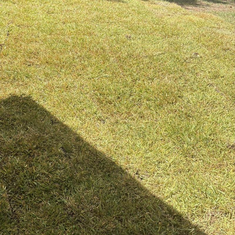 Catch basin grate set into a sloped lawn